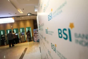 BSI-2-13