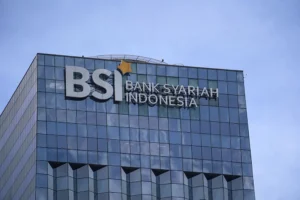 logo-bsi-12